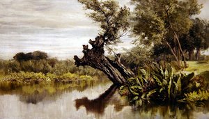 Le saule