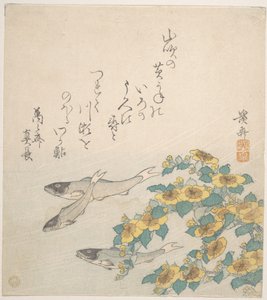 Poissons nageant avec des fleurs jaunes - Keisai Eisen