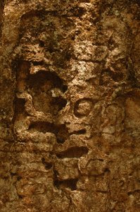 7319 Oxpemul; Maya; Cultures anciennes; Maya; Mexique; Réserve de biosphère Maya; Ivan Spr..., 2004