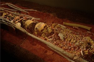 Archéologie; Hominidé; Hominin; Évolution humaine - Homo sapiens sapiens; Évolution humaine; Âge de glace, 2000 (photo)