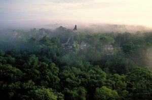 Maya; Tikal; Guatemala