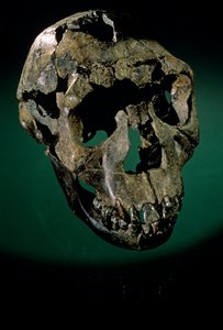 Garçon de Turkana, Kenya, Lac Turkana