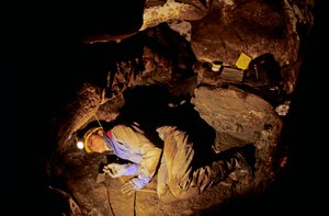 Qui étaient les premiers Américains, Timothy Heaton, fouillant, Dans la grotte On your Knees, Prince of Wales Island, Alaska, 2008 (photo)
