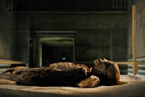 mm7864 ; 18e dynastie ; Nouvel Empire ; Égypte ; ADN ; Échantillon ; Momie, momie inconnue, 2005