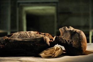 mm7864; 18e dynastie; Nouvel Empire; Égypte; ADN; Échantillon; Momie, momie inconnue, 2005 (photo)