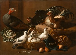 Volaille dans la cuisine, milieu du 17e siècle