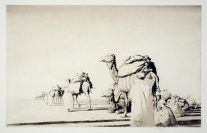 Fret du désert