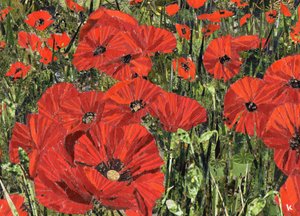 Champ de coquelicots