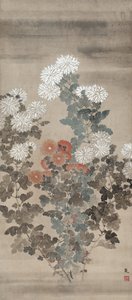 Chrysanthèmes