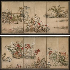 Fleurs et herbes