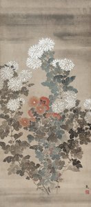 Chrysanthèmes, milieu des années 1600