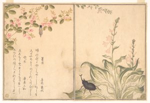  - Kitagawa Utamaro