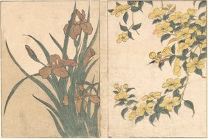 Fleurs de cerisier et iris, du livre illustré Fleurs des Quatre Saisons, 1801
