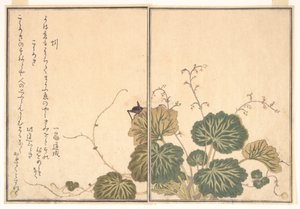  - Kitagawa Utamaro