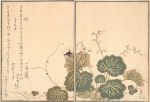 Ver de terre Mimizu, Grillon Korogi..., 1788