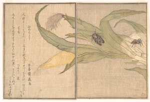  - Kitagawa Utamaro