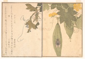  - Kitagawa Utamaro