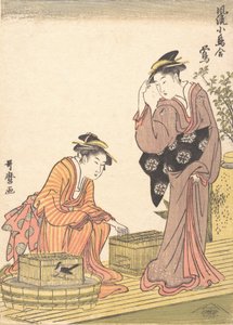 Rossignol du Japon, 1754-1806
