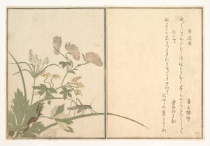  - Kitagawa Utamaro