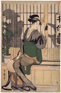 La maison de thé Chiyozuru (ombres sur le shoji)