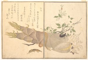 Grillon-taupe (Kera) ; Perce-oreille (Hasami-mushi), tiré du livre d