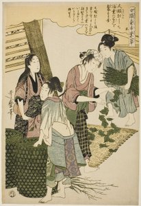 No. 5 (go), de la série « Femmes engagées dans l