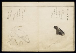 P.332-1946 Vol.1 f.4 Cormoran à droite et deux hérons neigeux à gauche, d
