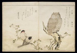 Un hibou et deux bouvreuils orientaux, d