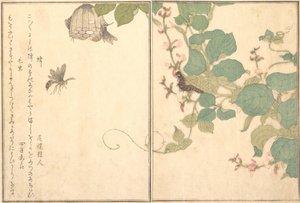 Guêpe de papier Hachi, chenille poilue Kemushi..., 1788