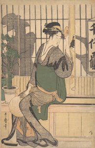 Ombres sur le Shoji