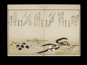 Shiohi no tsuto (Cadeaux de la marée descendante), connu sous le nom de Livre des coquillages, 1789 - Kitagawa Utamaro