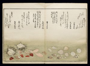 Shiohi no tsuto (Cadeaux de la marée descendante), connu sous le nom de Livre des coquillages, 1789 - Kitagawa Utamaro
