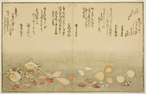 Shiro-gai, namima-gashiwa, makura-gai, iro-gai, aza-gai, sadae-gai, du livre illustré "Cadeaux de la marée descendante (Shiohi no tsuto)" - Kitagawa Utamaro