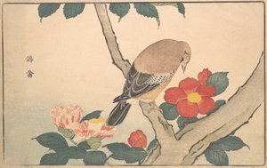 Camélias avec un oiseau, 1789