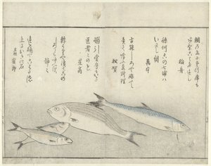 Quatre poissons