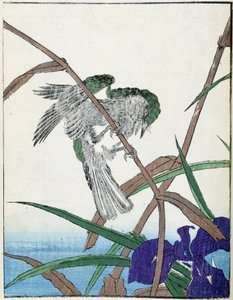 Oiseau sur un arbre. Dessin japonais de Kitao Kosuisai