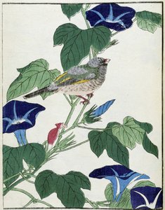 Oiseau sur un arbre. Dessin japonais par Kitao Kosuisai