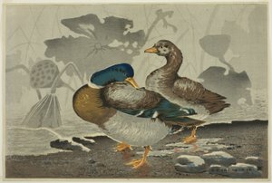 Une paire de canards près d
