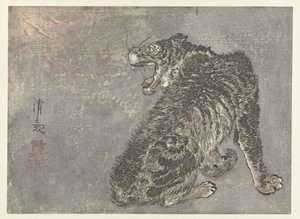 Tigre et éclair