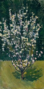 Petit arbre en fleurs - Koloman Moser