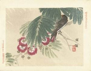Hirondelle - Kono Bairei