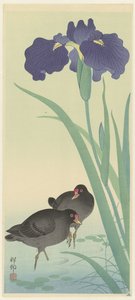 Gallinules et iris - Ohara Koson