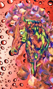 Un cheval fantastique plein de vie