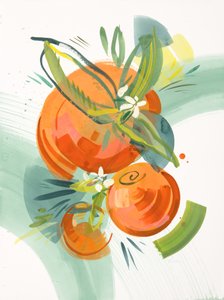 Citrus, saison 3