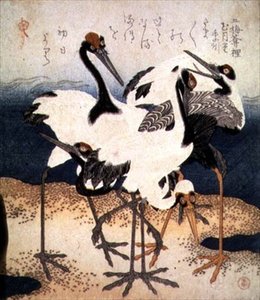 Cinq grues aux plumes blanches dans diverses poses sur une langue de sable, de la série Trois Pétales, c.1816 - Kubo Shumman
