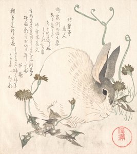 Lièvre et pissenlit, probablement 1820 - Kubo Shunman
