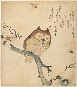  - Kubo Shunman