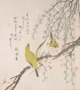 Mésanges japonaises avec prunier et saule..., vers 1810 - Kubo Shunman