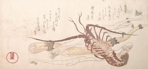 Homard et légumes, 19ème siècle