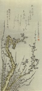 Vieux prunier - Kubo Shunman
